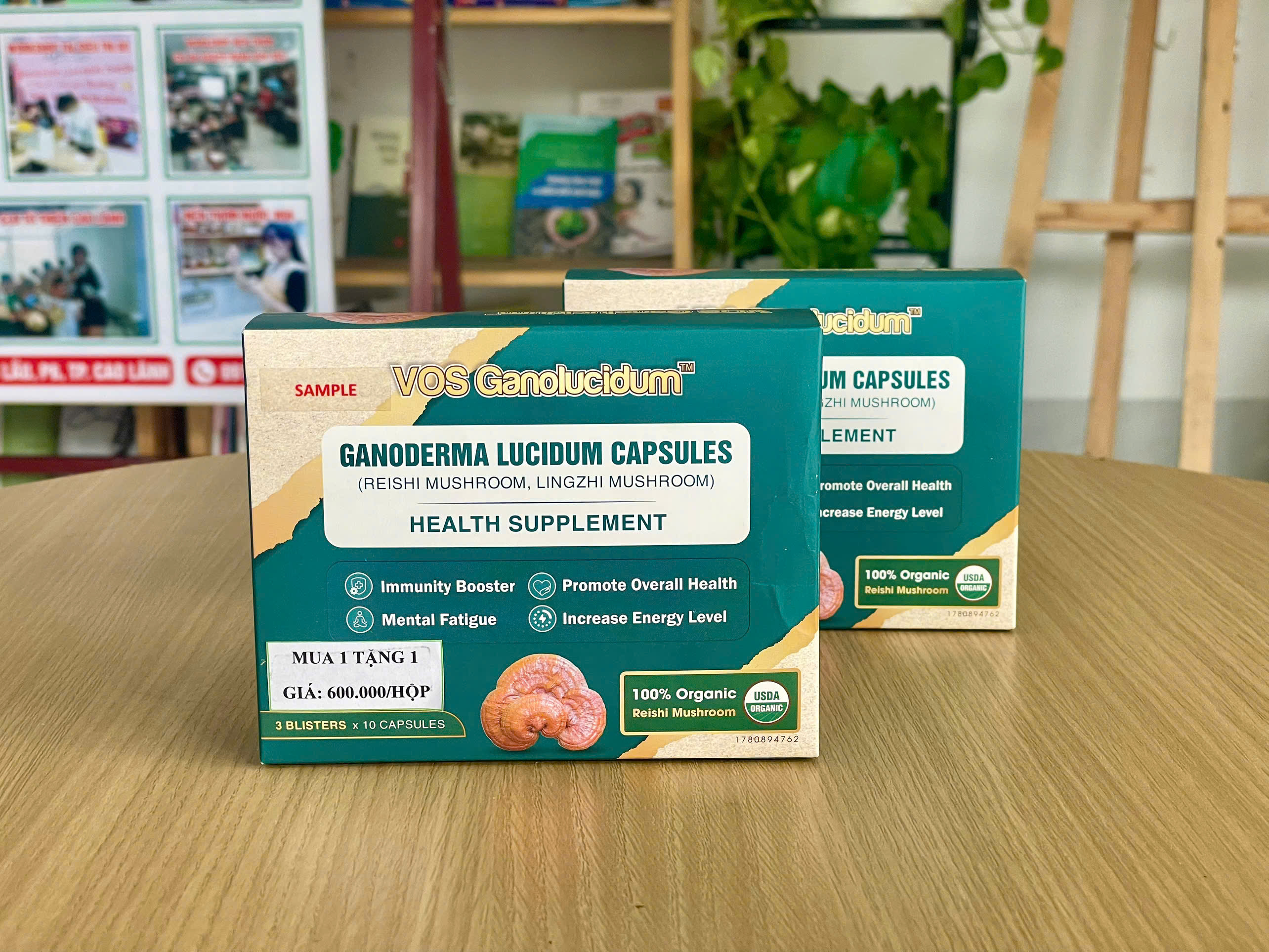 Ganoderma Lucidum Capsules được sử dụng thế nào?